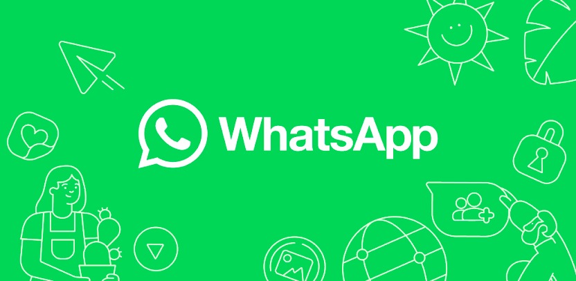Why would you recommend WhatsApp Business for your organization?